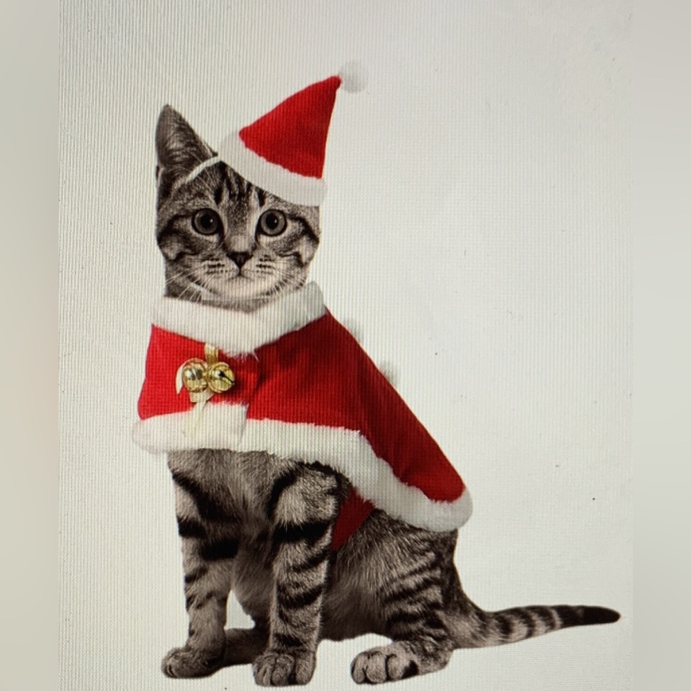 Cat Christmas Outfit - New!